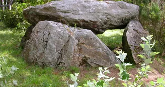 Dolmen du Gornevez