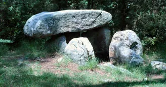 Dolmen de Mané Canaplaye