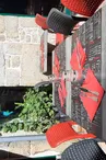 terrasse-restaurant-brasserie-dame-de-caro-carnac